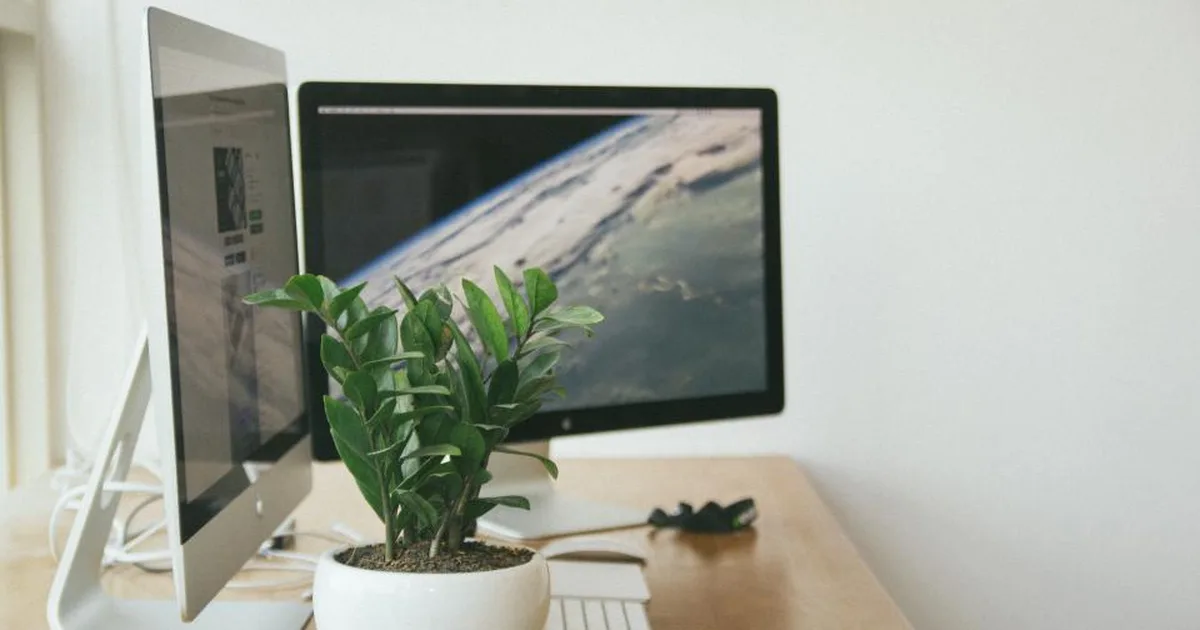 Escritorio de oficina con dos monitores encendidos, teclado y una planta